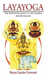 Layayoga: The Definitive Guide to the Chakras and Kundalini (paperback) - Image 2